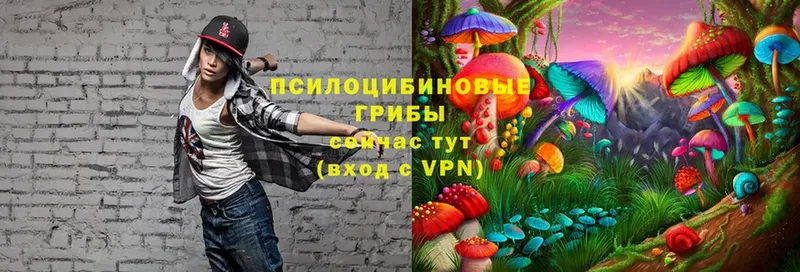 Псилоцибиновые грибы MAGIC MUSHROOMS  где купить наркотик  Пудож 